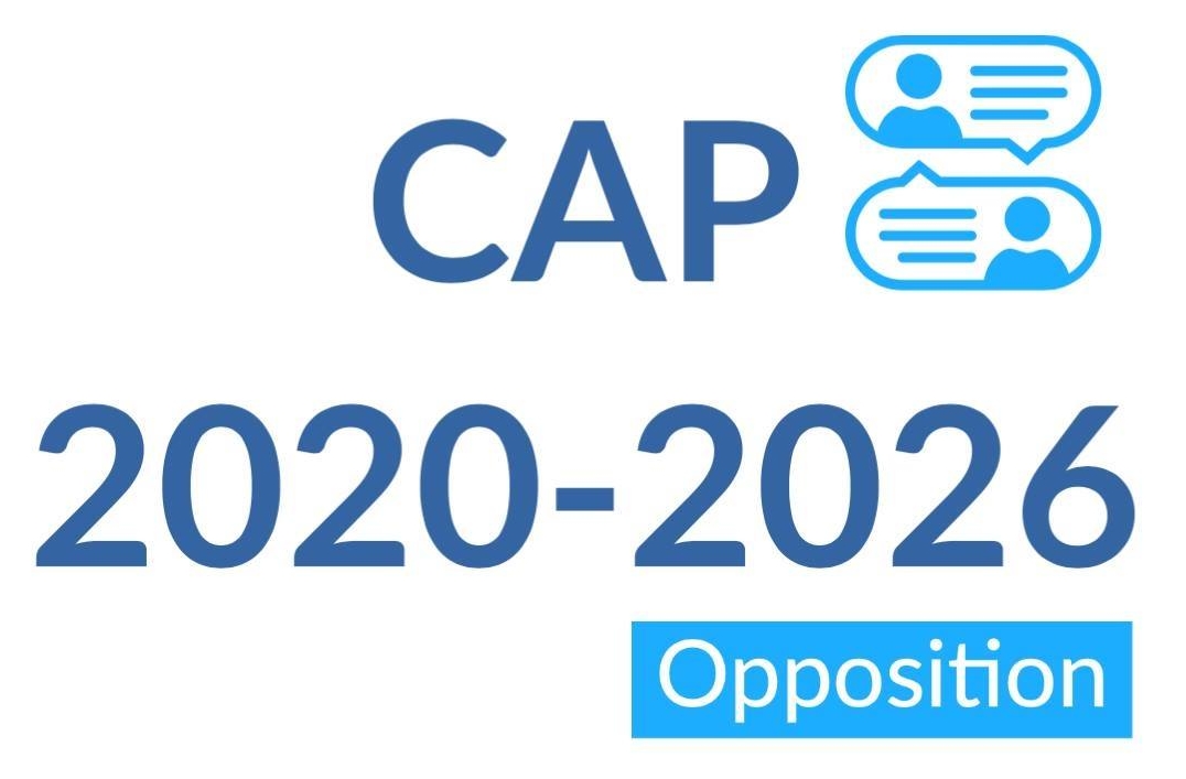 logo cap 2026